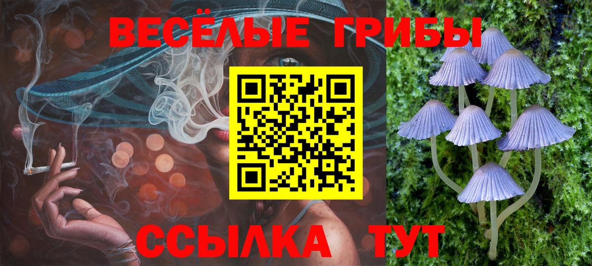 Коломна  Псилоцибиновые грибы MAGIC MUSHROOMS  Вход с VPN 